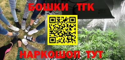 прущие крисы Свободный