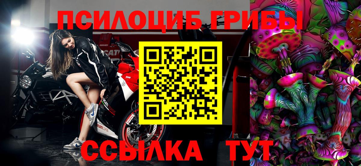 Нижнеудинск  Псилоцибиновые грибы ЛСД  Вход с VPN 