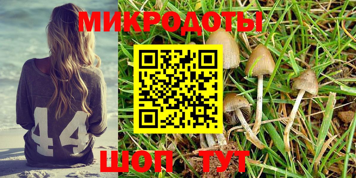 Псилоцибиновые грибы MAGIC MUSHROOMS Нижнеудинск